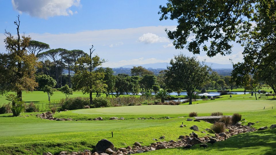 <h2>The Best of South Africa Escorted 2023</h2> 14 Nights | 6 Rounds | March 11 - 25